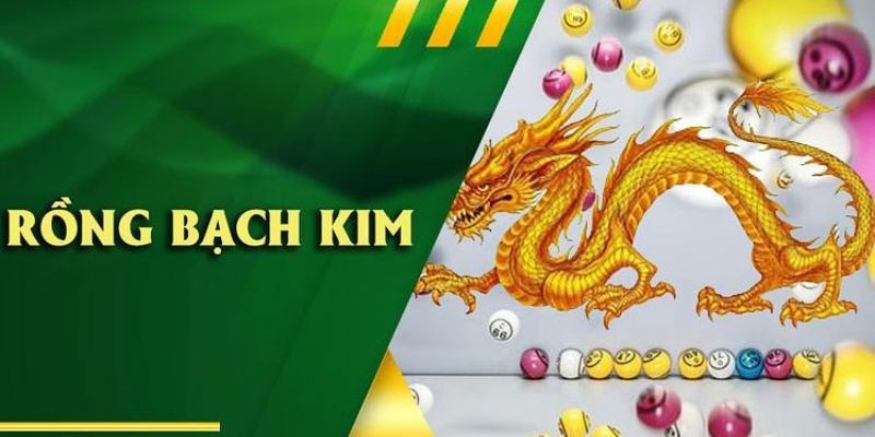 Lưu ý trong khi soi cầu rồng bạch kim Lưu ý trong khi soi cầu rồng bạch kim
