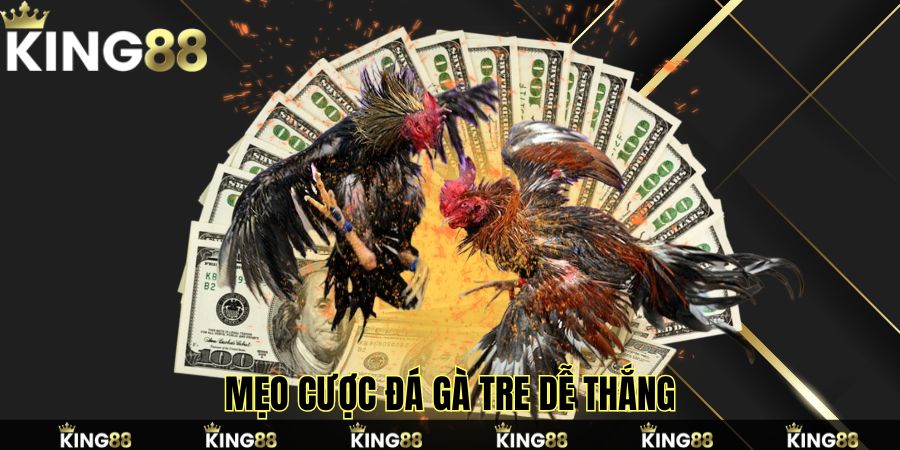 Mẹo cược đá gà tre dễ thắng Mẹo cược đá gà tre dễ thắng