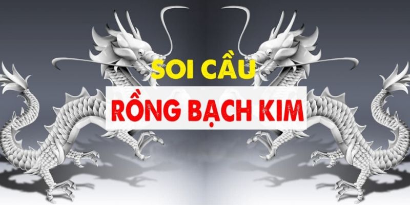 Tóm tắt về khái niệm soi cầu rồng bạch kim Tóm tắt về khái niệm soi cầu rồng bạch kim