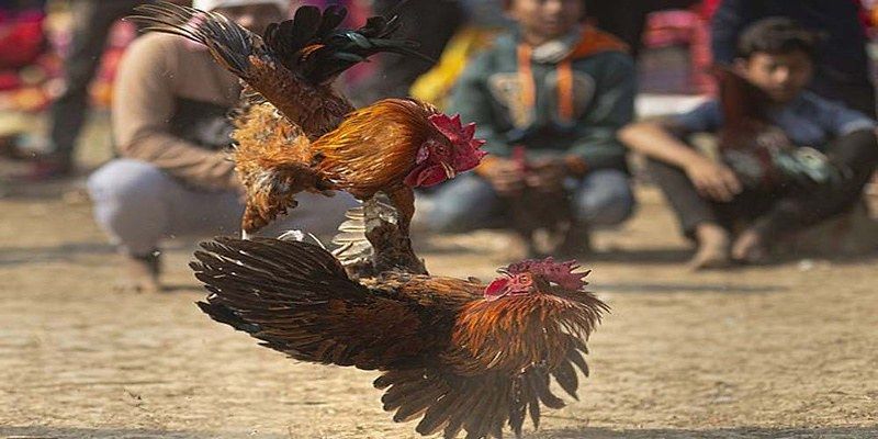 Lựa chọn đối thủ cho mệnh Hoả Lựa chọn đối thủ cho mệnh Hoả